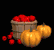 thanksgiving_basket_t_a_tb.gif
