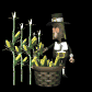 pilgrim_pickingcorn_sb.gif