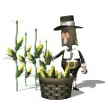 pilgrim_pickingcorn_mw.gif