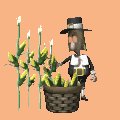 pilgrim_pickingcorn_mc.gif
