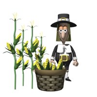 pilgrim_pickingcorn_hr.jpg