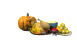 happy_thanksgiving_fe_a_sw.gif