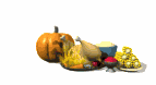happy_thanksgiving_fe_a_lw.gif