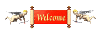 welcome_mc.gif