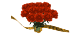 roses_lw.gif