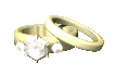 weddingring_set_sparkle_sc.gif