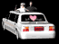 closeup_bridegroom_sb.gif