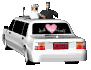 closeup_bridegroom_mc.gif