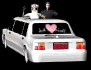 closeup_bridegroom_mb.gif