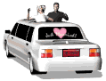 closeup_bridegroom_lw.gif