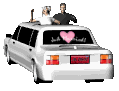 closeup_bridegroom_lc.gif