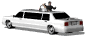 bridengroom_limo_sw.gif