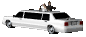 bridengroom_limo_sc.gif
