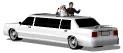 bridengroom_limo_mw.gif