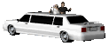 bridengroom_limo_mc.gif