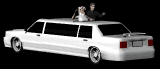 bridengroom_limo_lb.gif