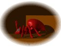 red_ants_resting_mw.gif