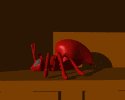 red_ants_resting_lw.gif