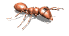 ant_walk_rt_sw.gif