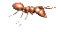 ant_walk_rt_sc.gif