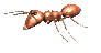 ant_walk_rev_mc.gif