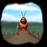 ant_stuck_lb.gif