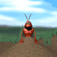 ant_look_sc.gif
