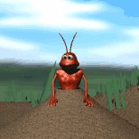 ant_look_lc.gif