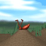 ant_goingdown_lc.gif
