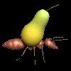 ant_carry_pear_mc.gif