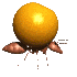 ant_carry_orange_sc.gif