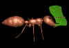 ant_carry_leaf_mb.gif