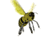 honey_bee_flying_sw.gif