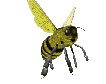 honey_bee_flying_mc.gif
