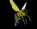 honey_bee_flying_lc.gif