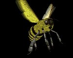 honey_bee_flying_lb.gif