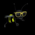 cool_buzzy_flying_mb.gif