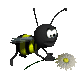 buzzy_carrying_flower_sc.gif