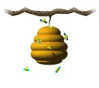 bee_w_hive_lw.gif