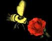 bee_flower_mb.gif
