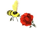 bee_flower_lw.gif