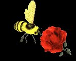 bee_flower_lc.gif