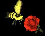 bee_flower_lb.gif