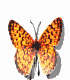 tiger_flap_mw.gif