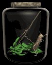 inajar_lb.gif