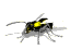 wasp_normal_sw.gif
