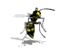 wasp_hover_sw.gif