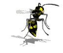 wasp_hover_mw.gif
