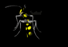 wasp_hover_lb.gif