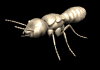 termite_rev_lb.gif